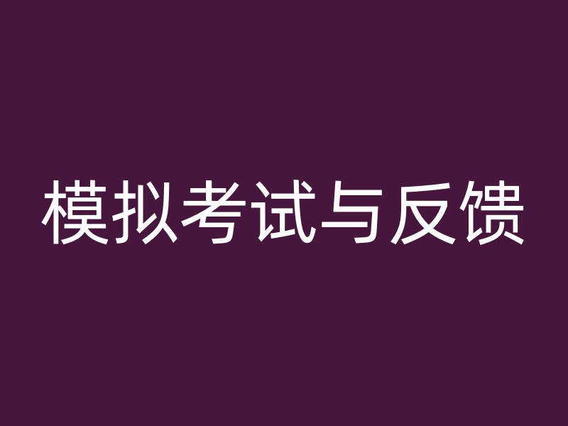 模拟考试与反馈