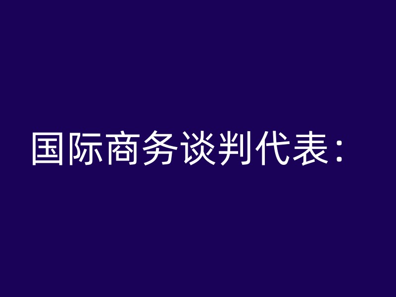 国际商务谈判代表：