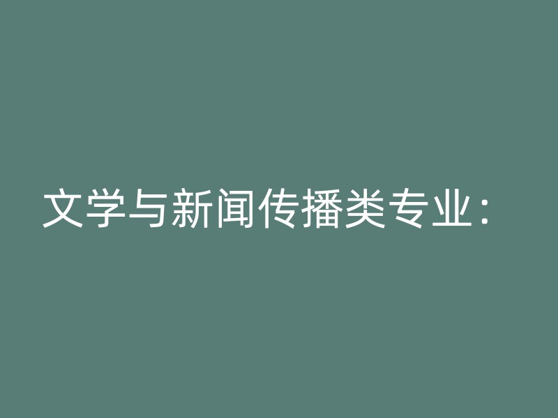 文学与新闻传播类专业：