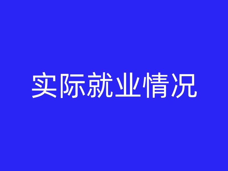 实际就业情况