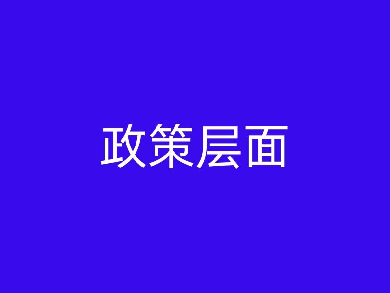 政策层面