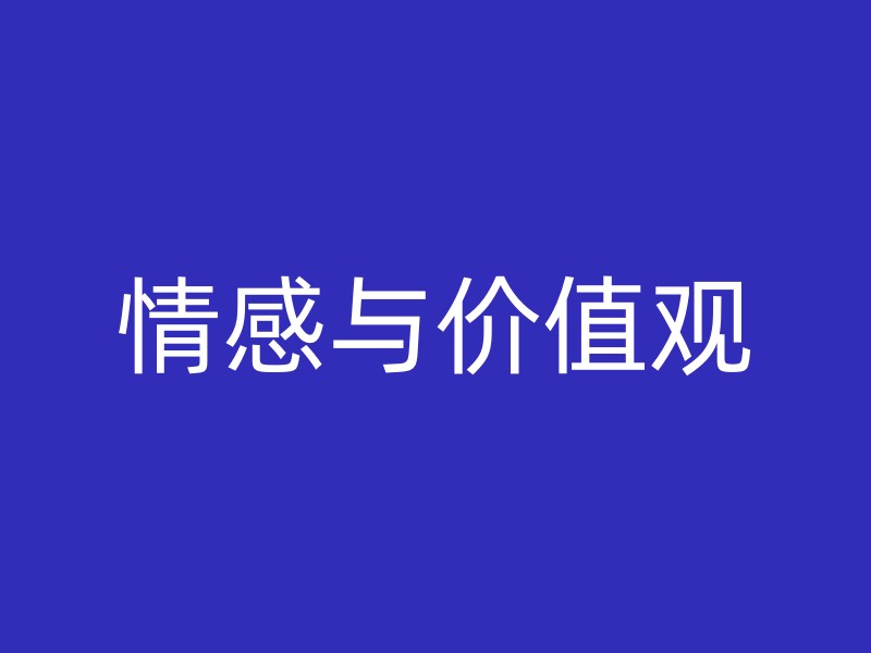 情感与价值观