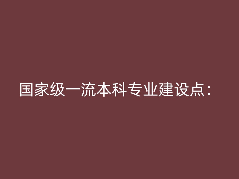 国家级一流本科专业建设点：