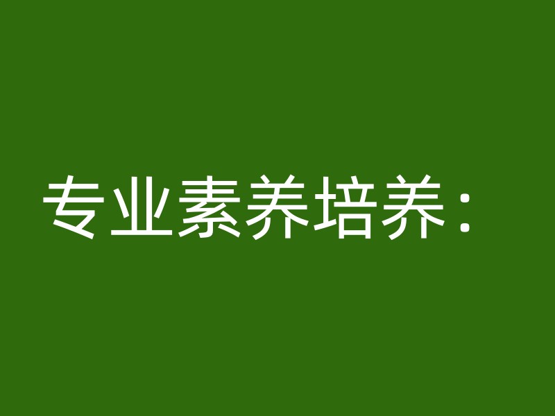 专业素养培养：