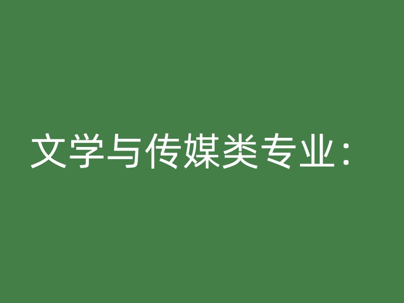 文学与传媒类专业：