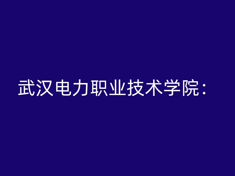 武汉电力职业技术学院：