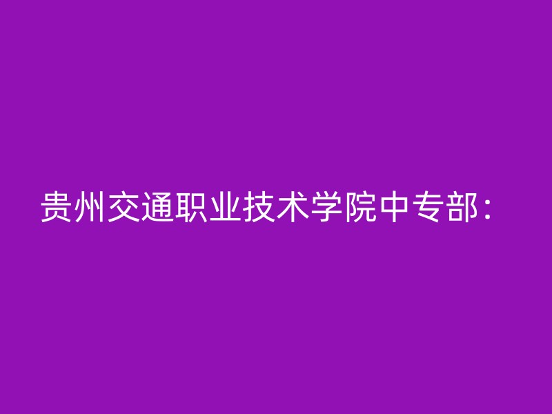 贵州交通职业技术学院中专部：