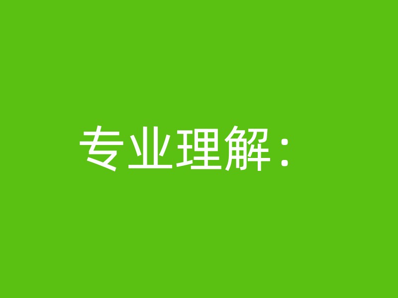 专业理解：