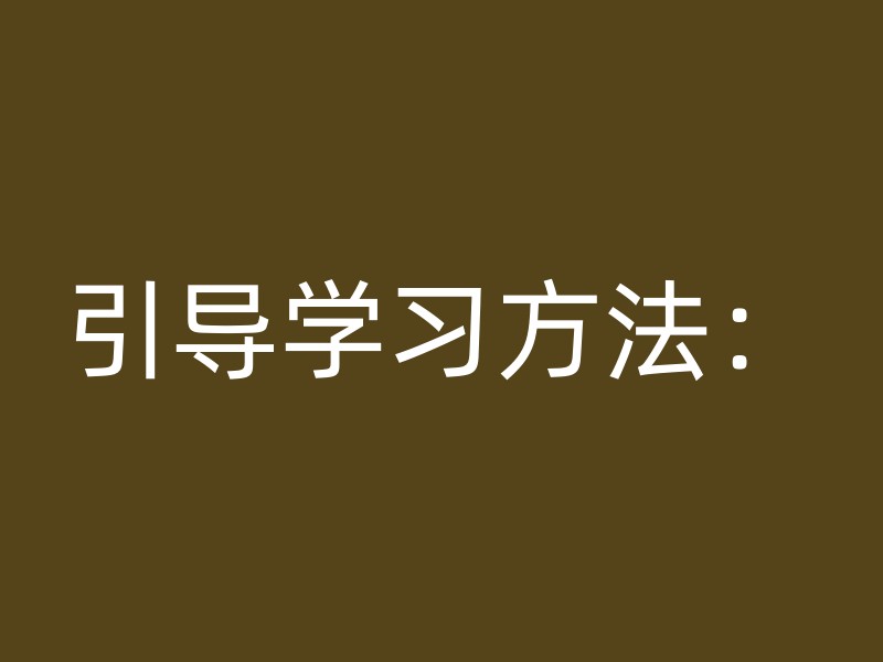 引导学习方法：