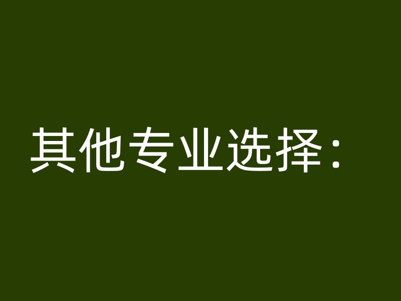 其他专业选择：