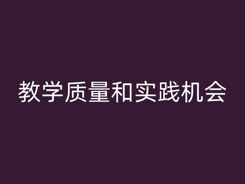 教学质量和实践机会