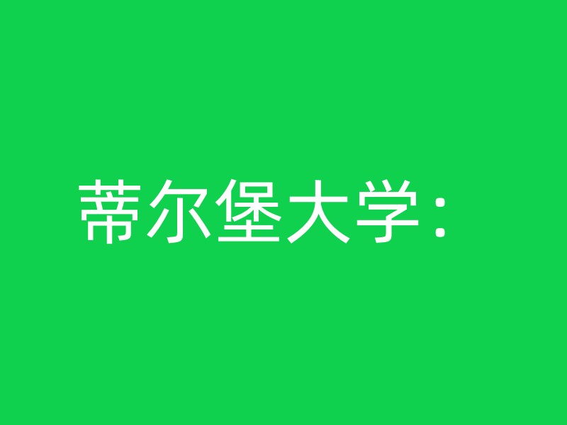 蒂尔堡大学：