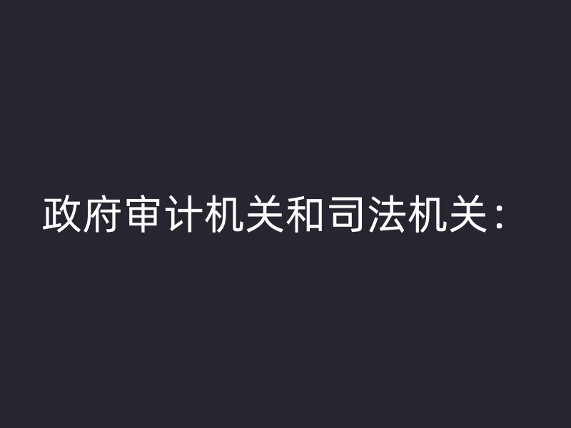 政府审计机关和司法机关：