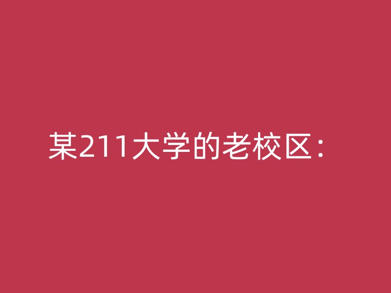 某211大学的老校区：