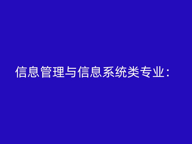 信息管理与信息系统类专业：