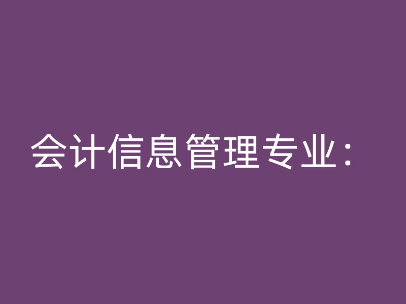 会计信息管理专业：