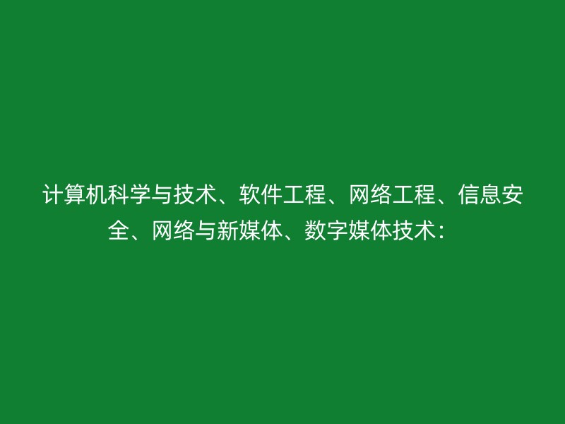 计算机科学与技术、软件工程、网络工程、信息安全、网络与新媒体、数字媒体技术：