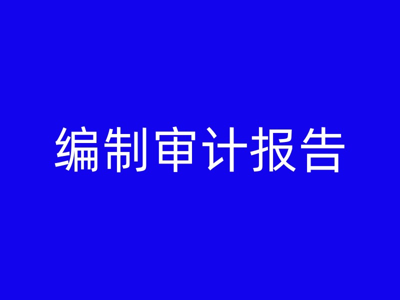 编制审计报告