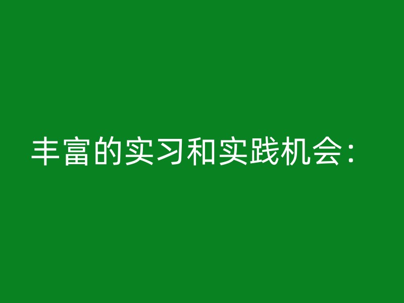 丰富的实习和实践机会：