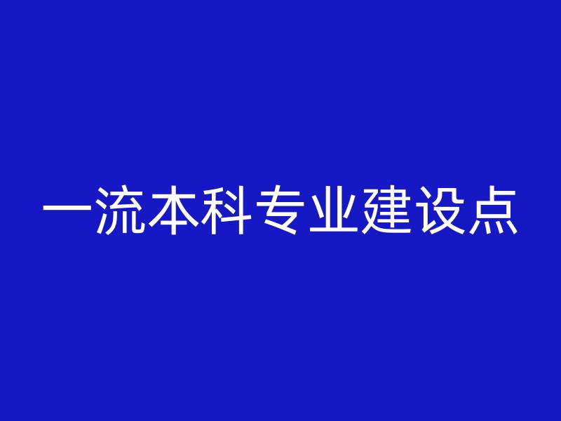 一流本科专业建设点