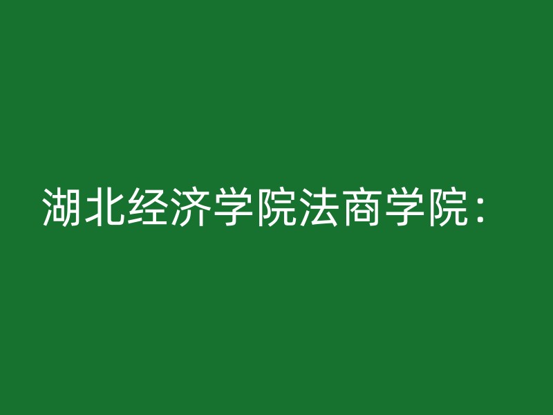 湖北经济学院法商学院：