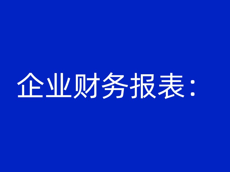 企业财务报表：