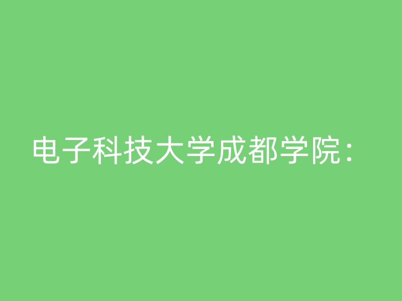 电子科技大学成都学院：