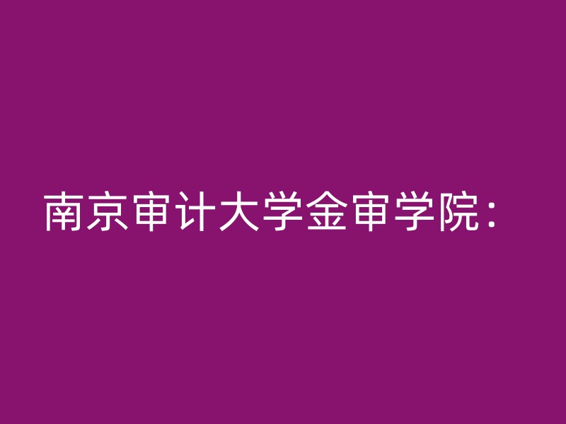 南京审计大学金审学院：