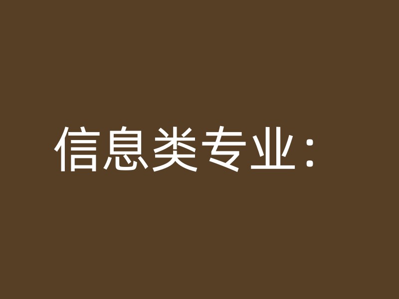 信息类专业：