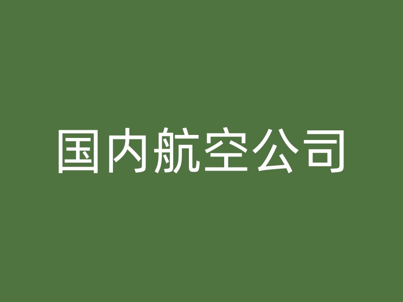 国内航空公司