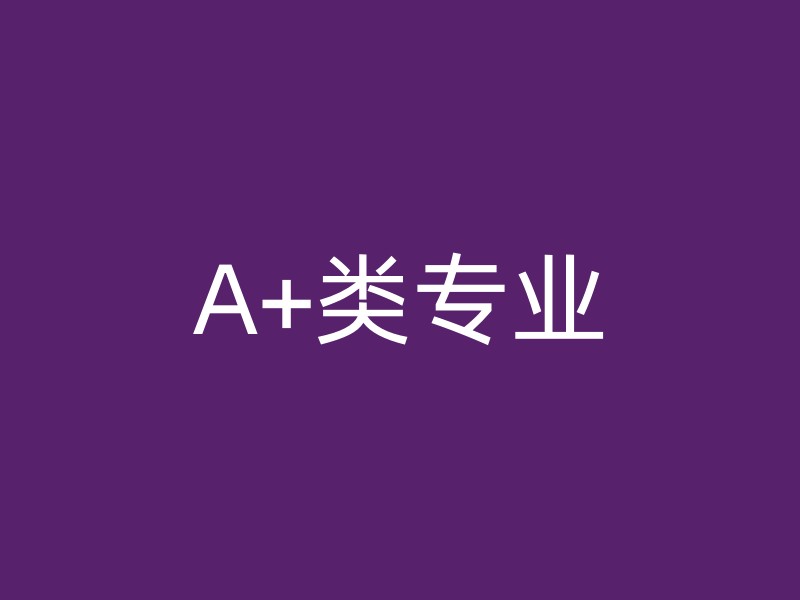 A+类专业