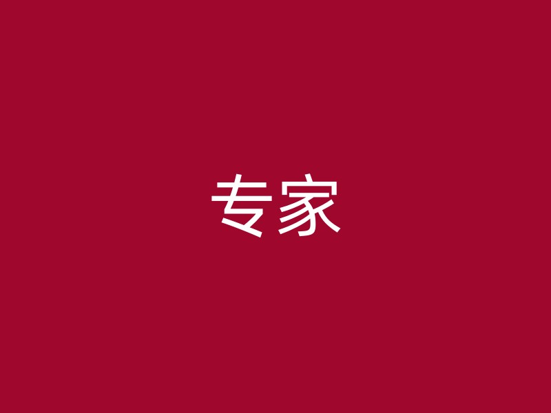 专家