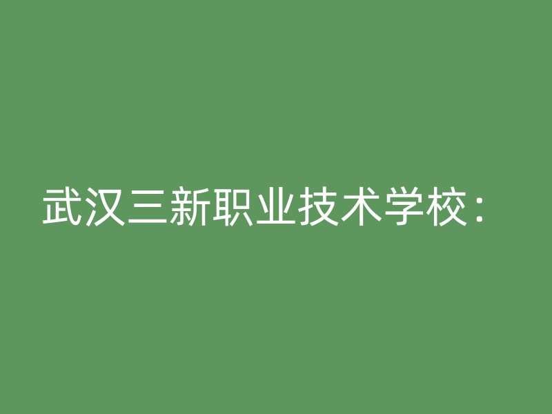 武汉三新职业技术学校：