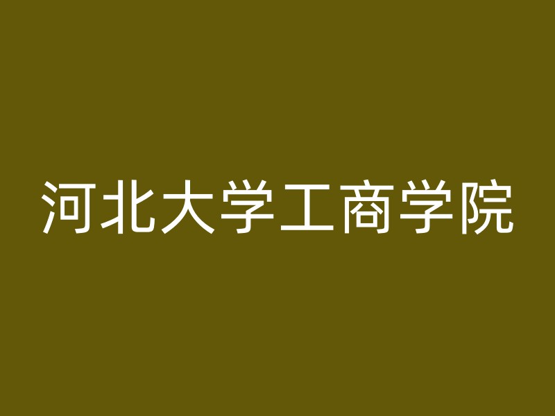 河北大学工商学院