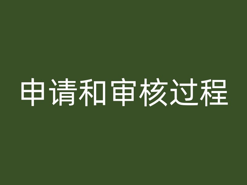 申请和审核过程