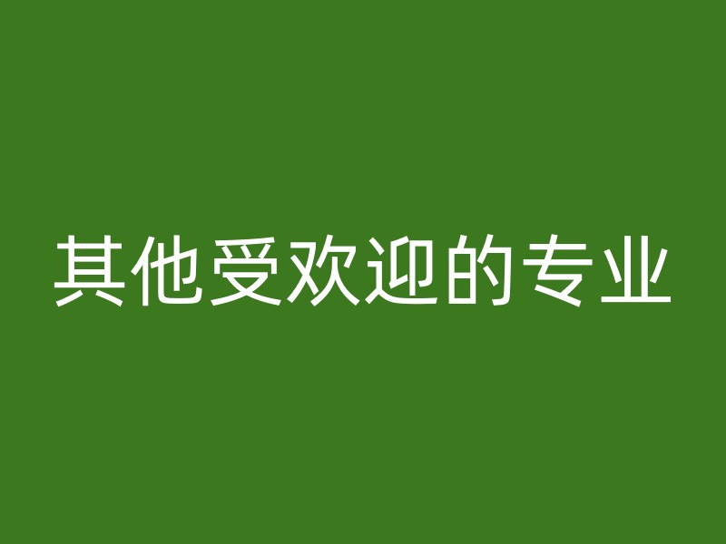 其他受欢迎的专业