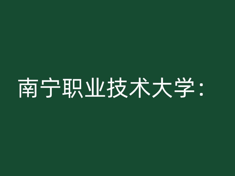 南宁职业技术大学：