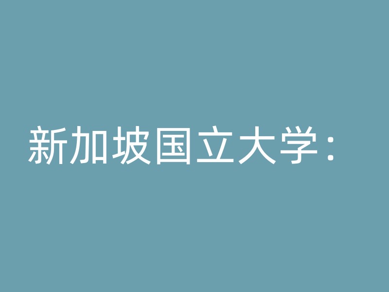 新加坡国立大学：