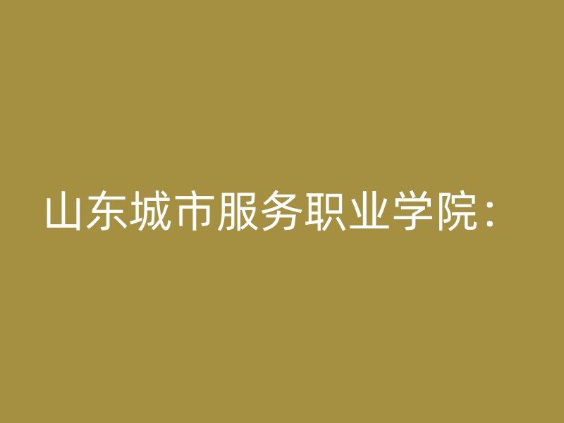 山东城市服务职业学院：