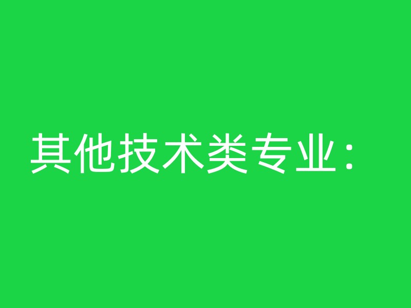 其他技术类专业：