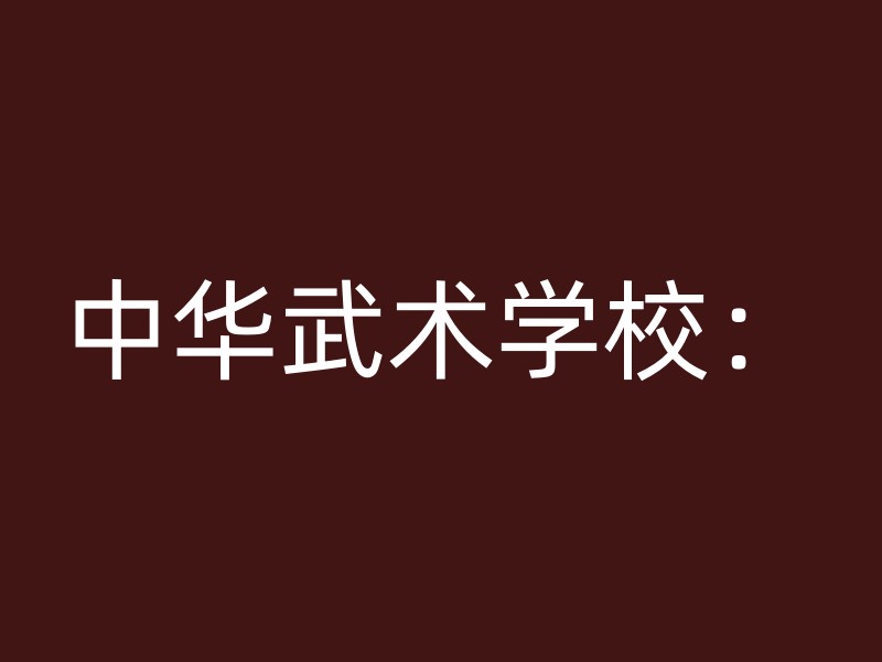 中华武术学校：