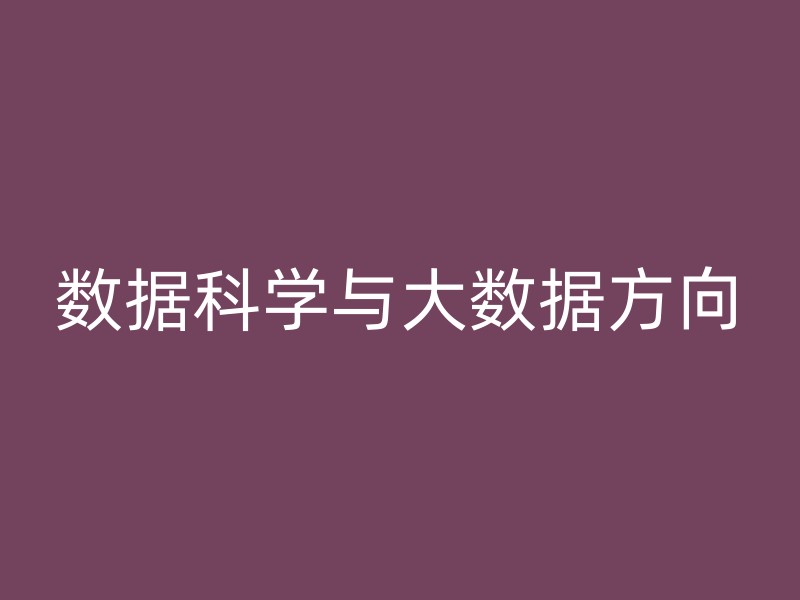 数据科学与大数据方向