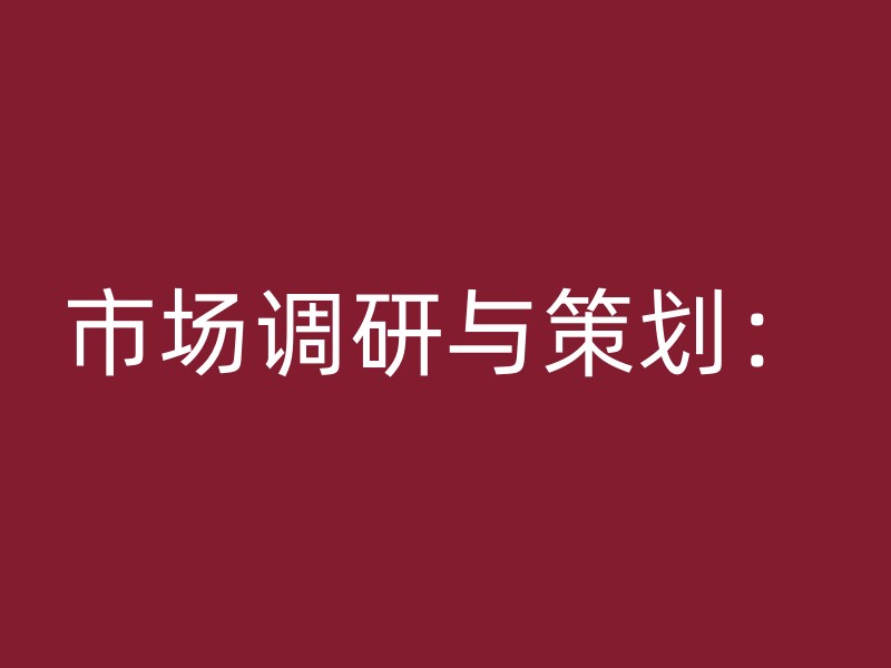 市场调研与策划：