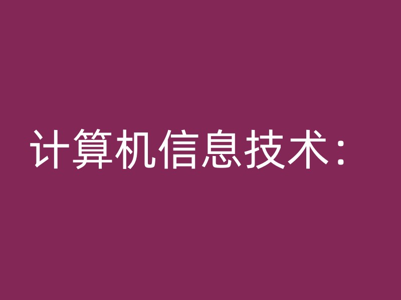 计算机信息技术：