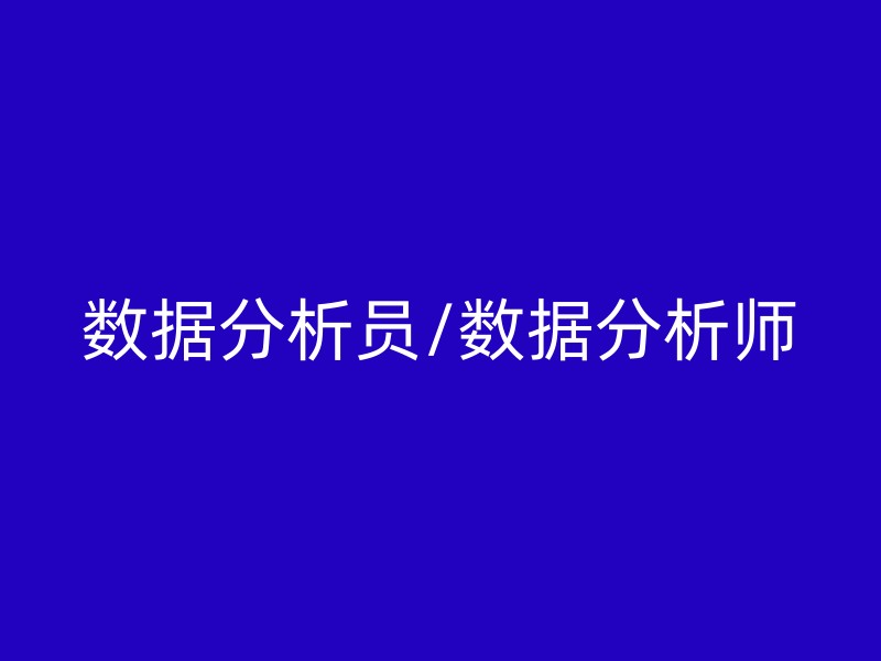 数据分析员/数据分析师