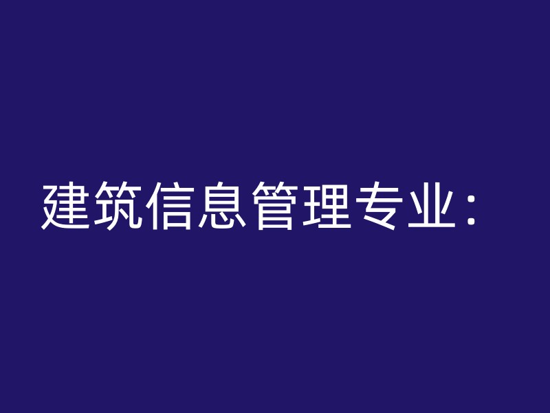 建筑信息管理专业：