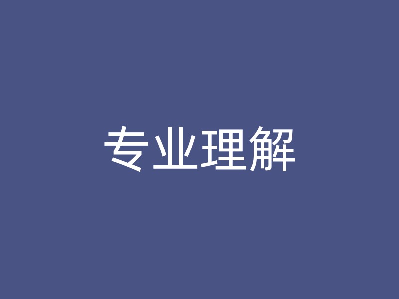 专业理解