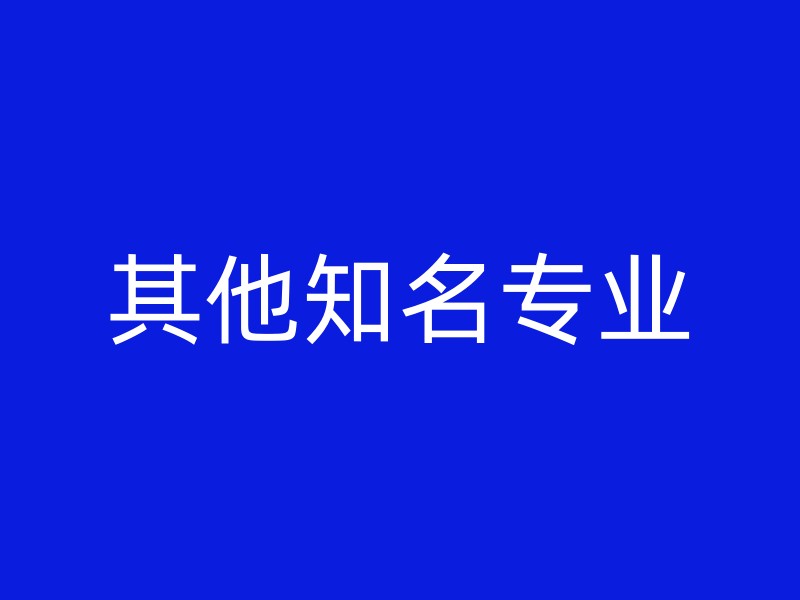 其他知名专业