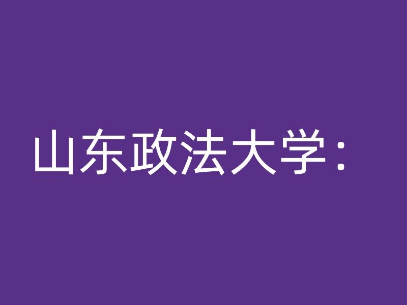 山东政法大学：