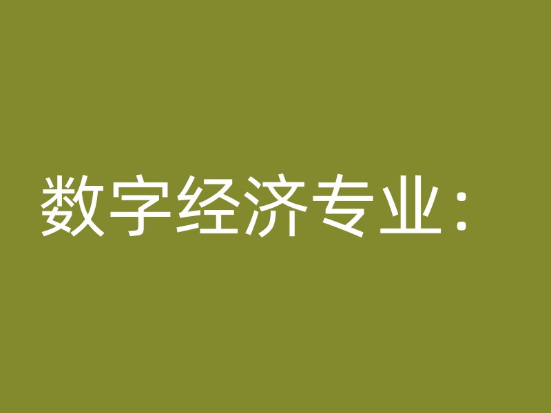 数字经济专业：